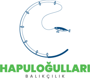 hapuloglu-logo